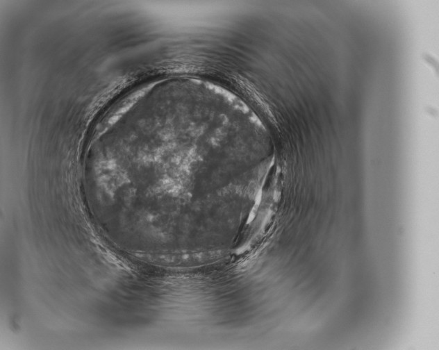 X0000096480721200802141721