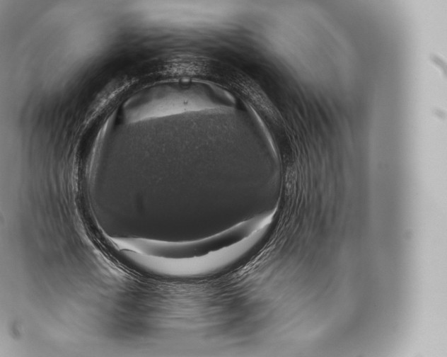 X0000096480722200802141721