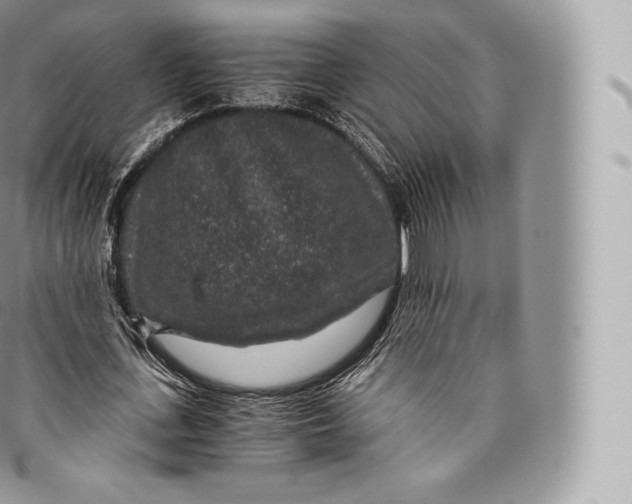 X0000096480723200802141721