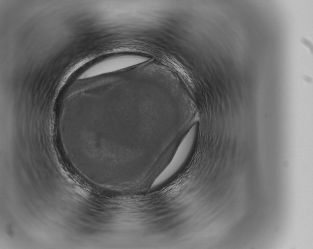 X0000096480724200802141721