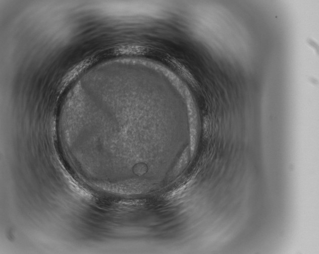 X0000096480725200802141721