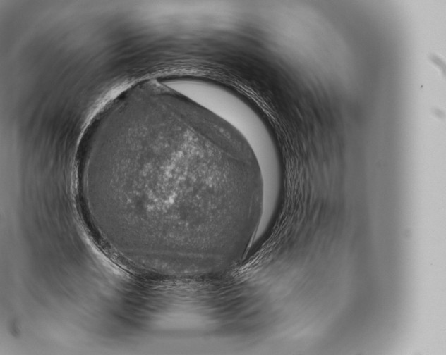 X0000096480726200802141721