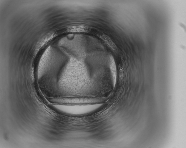 X0000096480727200802141721