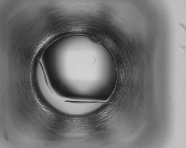 X0000096480728200802141721