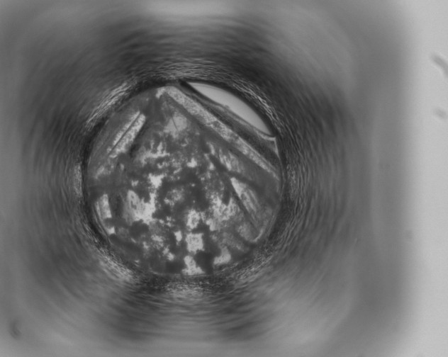 X0000096480729200802141721