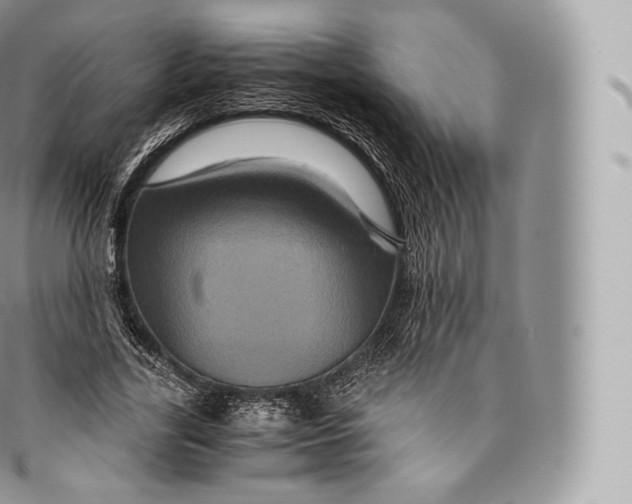 X0000096480731200802141721