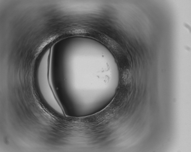 X0000096480732200802141721