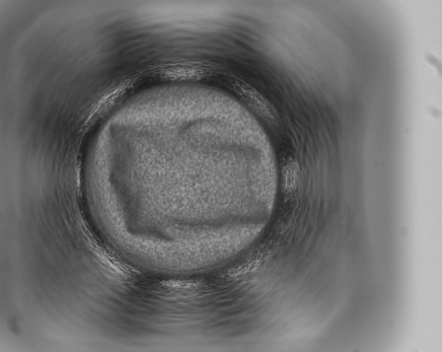 X0000096480733200802141721