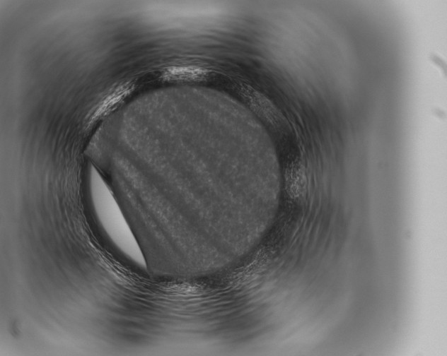 X0000096480735200802141721