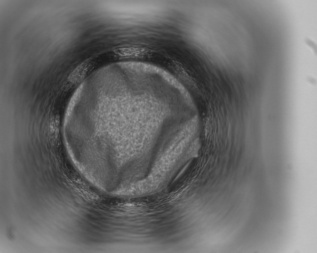 X0000096480737200802141721