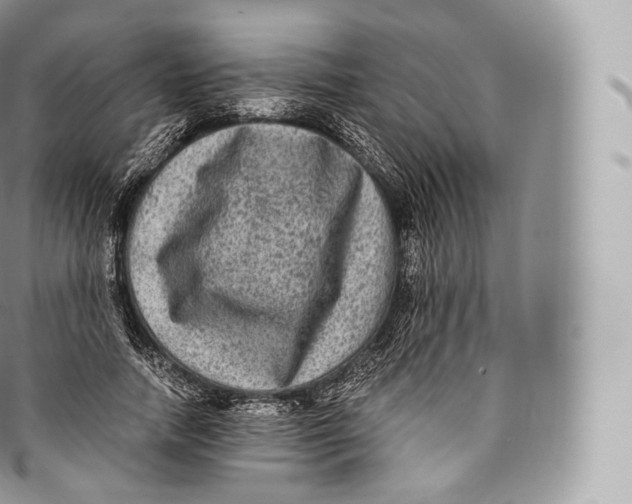 X0000096480738200802141721