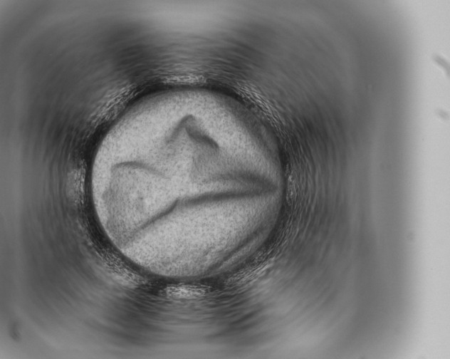 X0000096480739200802141721