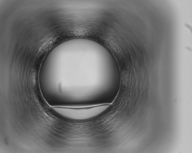 X0000096480740200802141721