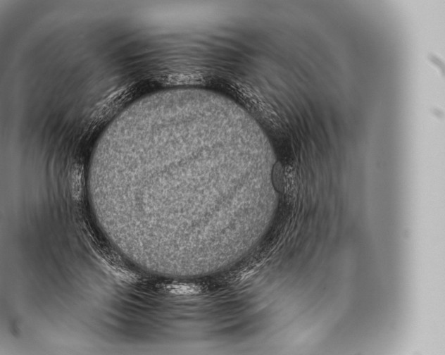 X0000096480741200802141721