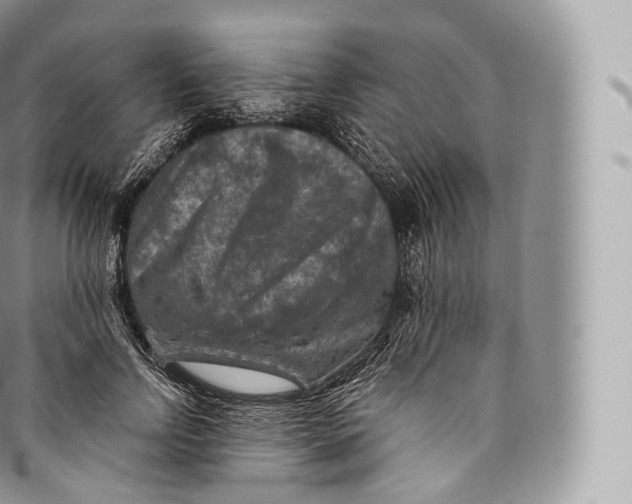 X0000096480742200802141721