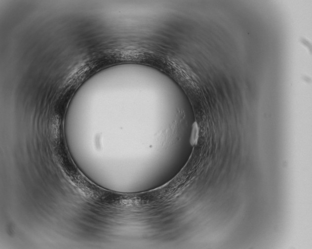 X0000096480744200802141721