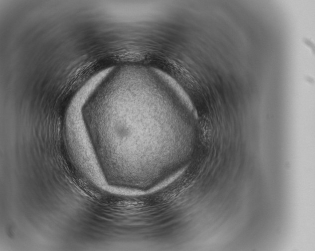 X0000096480745200802141721