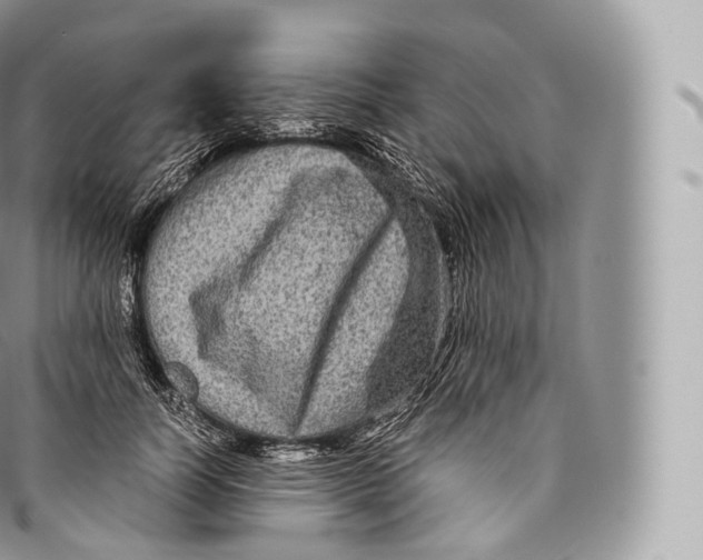 X0000096480746200802141721