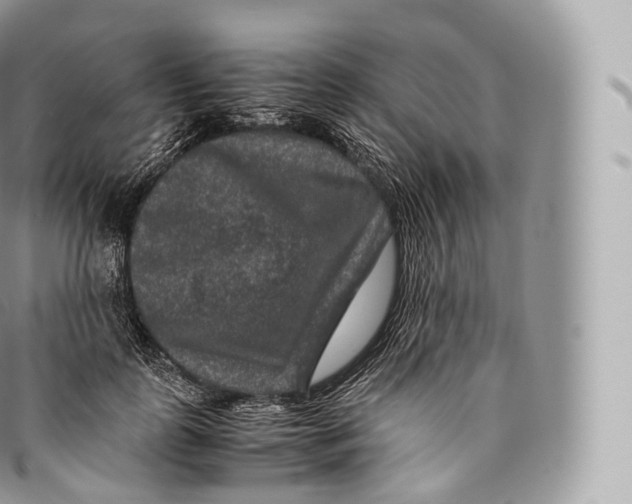 X0000096480747200802141721