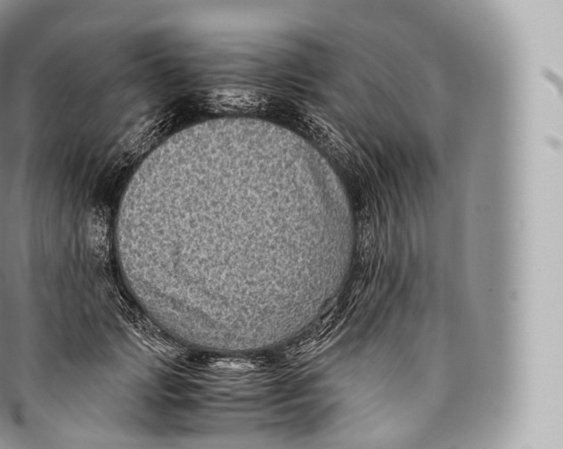 X0000096480749200802141721