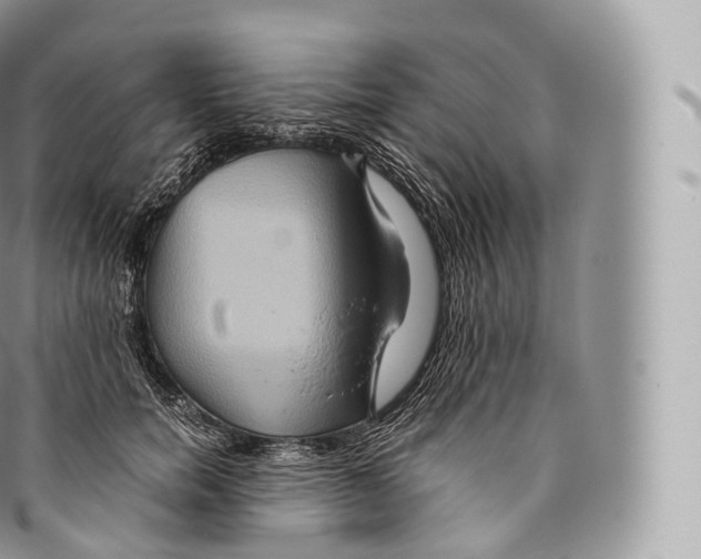 X0000096480750200802141721