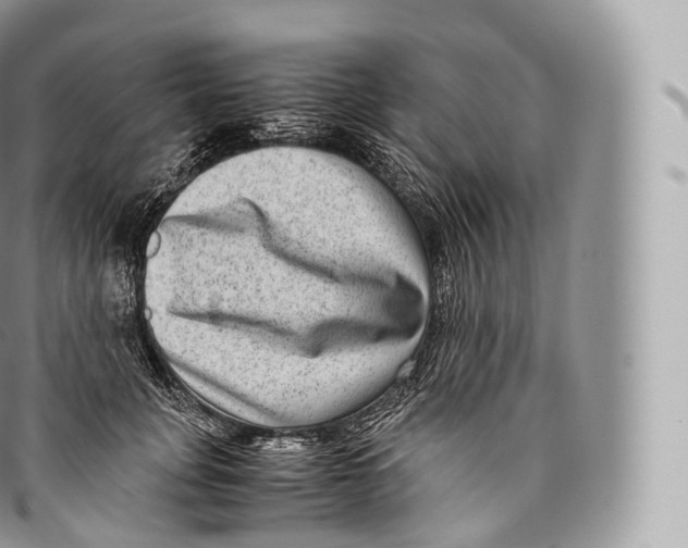 X0000096480751200802141721