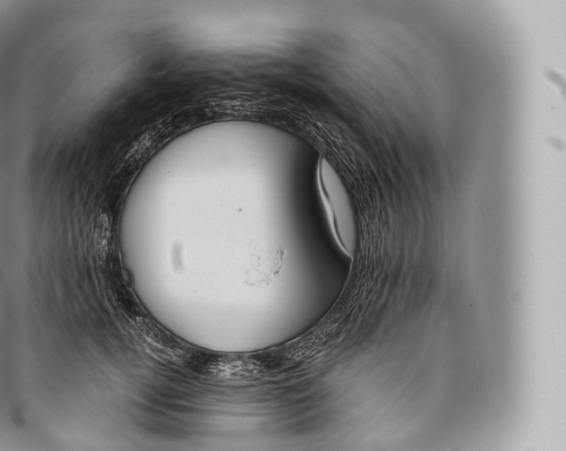 X0000096480752200802141721