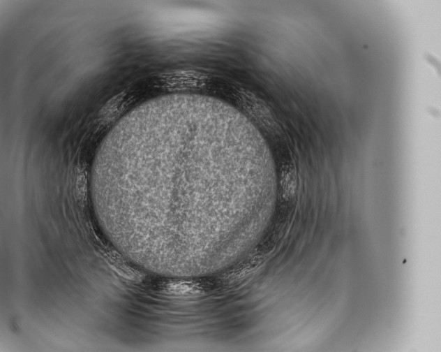 X0000096480753200802141721