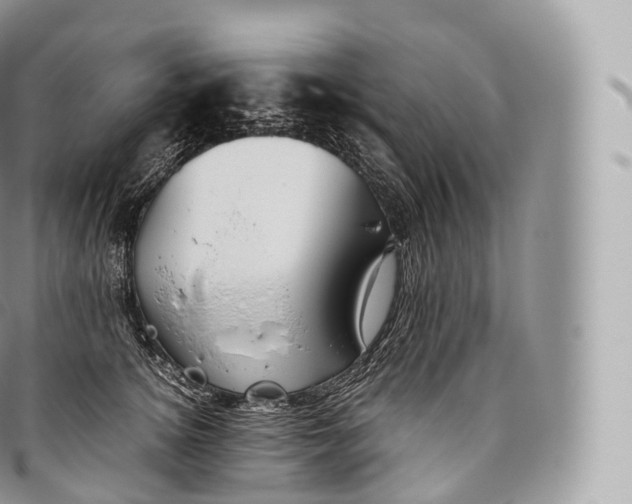 X0000096480756200802141721