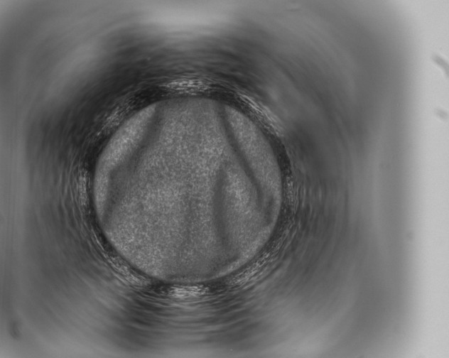 X0000096480757200802141721