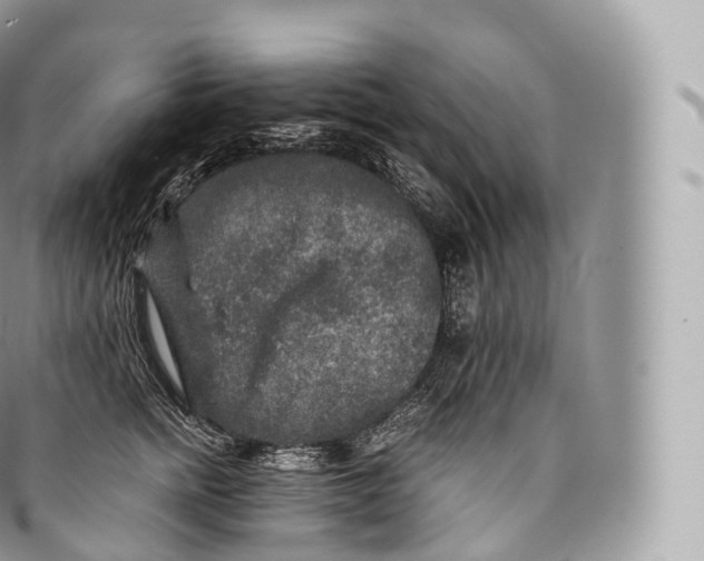 X0000096480758200802141721