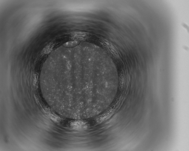 X0000096480759200802141721