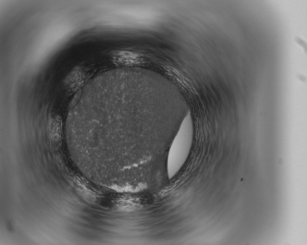 X0000096480760200802141721