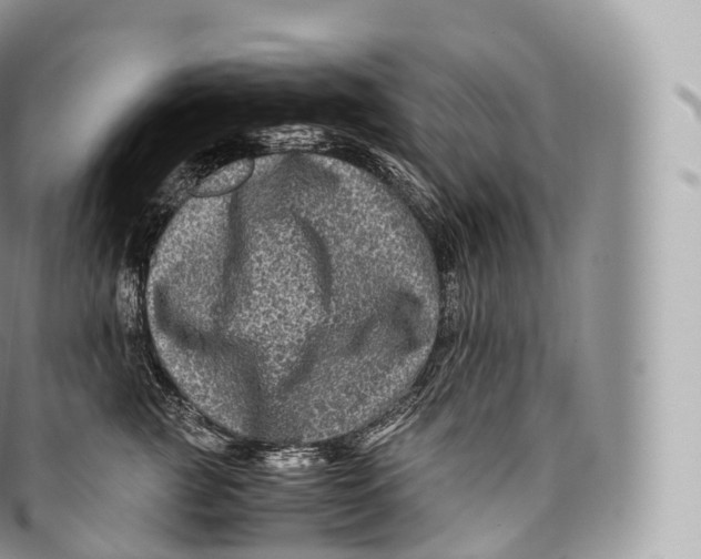 X0000096480761200802141721