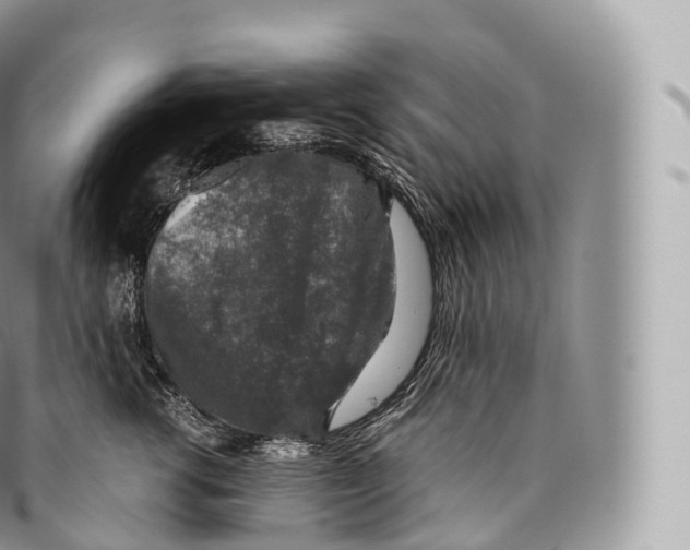 X0000096480762200802141721