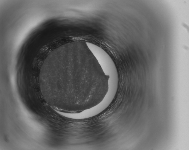 X0000096480763200802141721