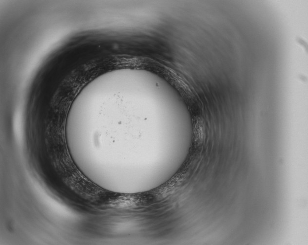 X0000096480764200802141721