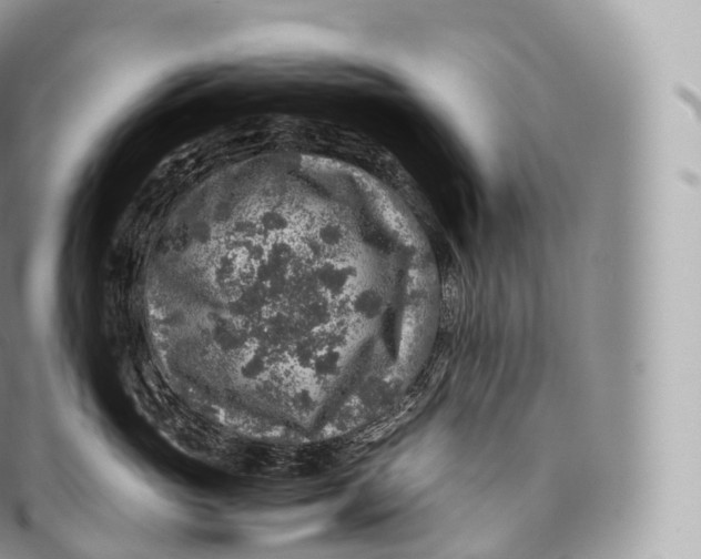 X0000096480765200802141721