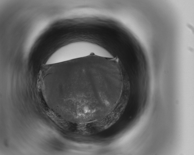 X0000096480766200802141721