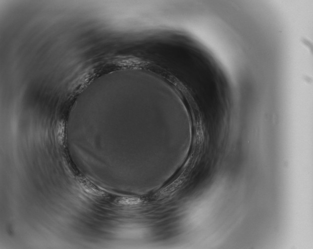 X0000096480767200802141722