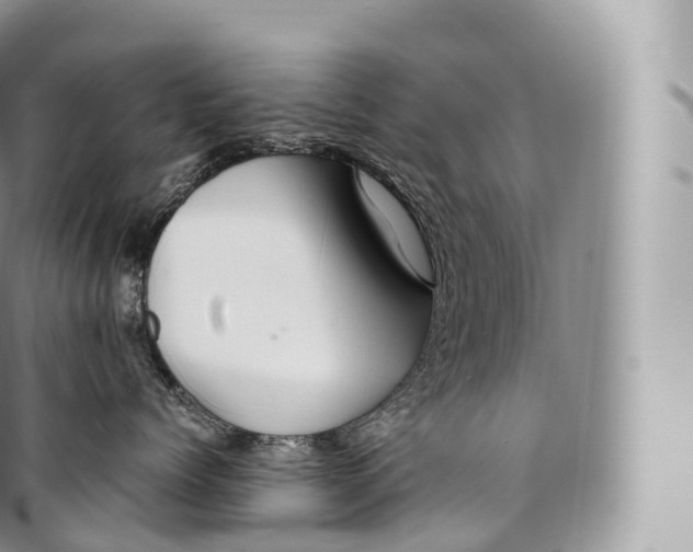 X0000096480768200802141722