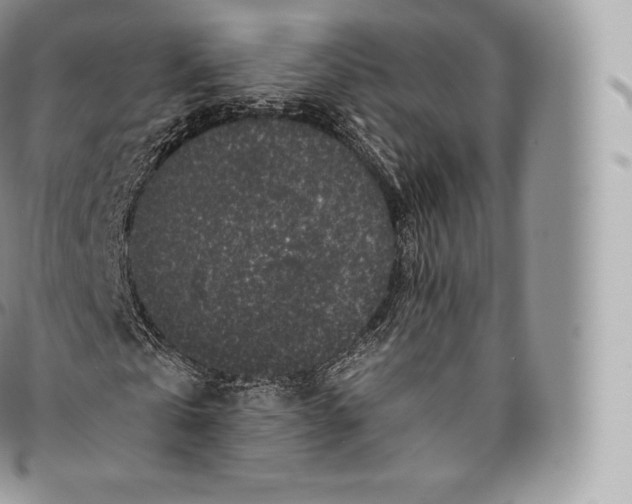 X0000096480769200802141721