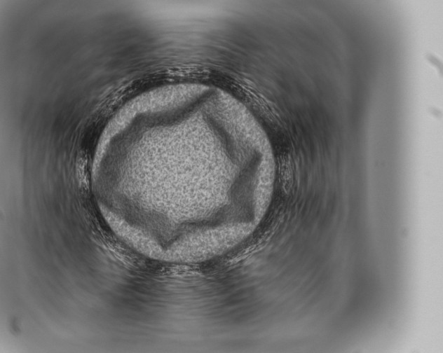 X0000096480770200802141721