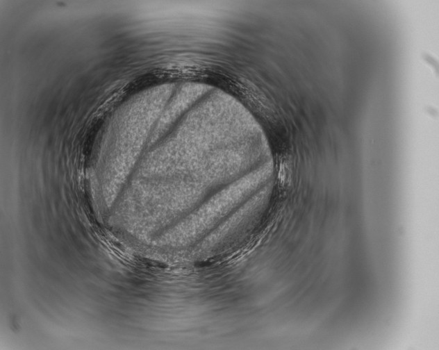 X0000096480771200802141721