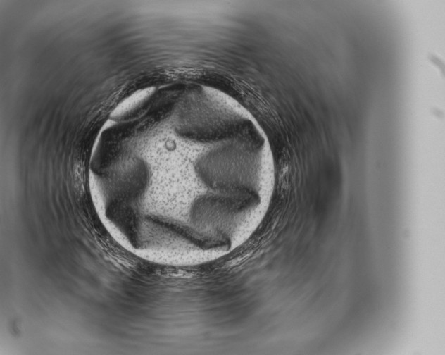 X0000096480772200802141721