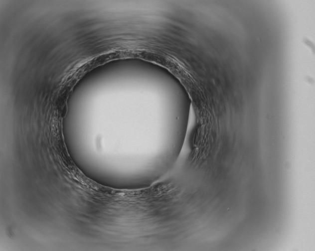 X0000096480773200802141721