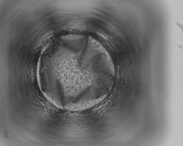 X0000096480774200802141721