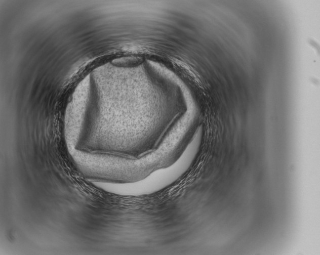 X0000096480776200802141721