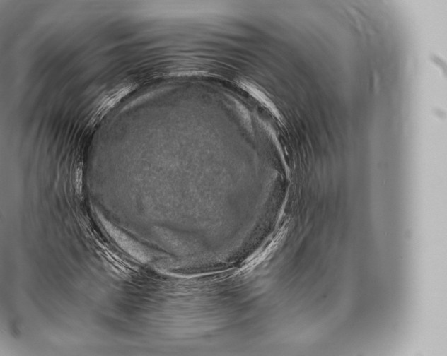 X0000096480777200802141721