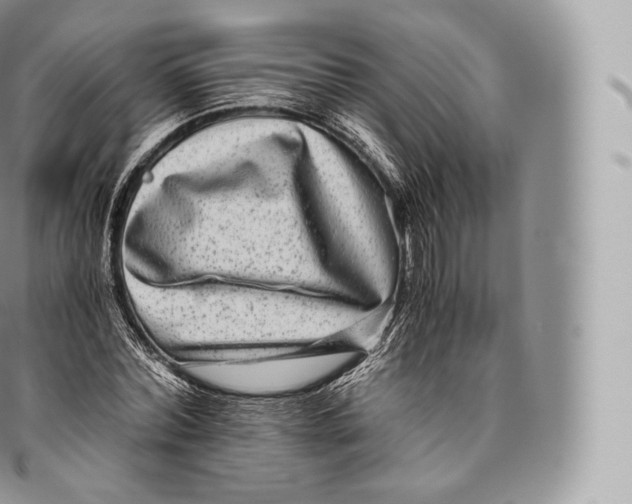 X0000096480780200802141721